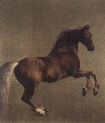 George Stubbs, Whistlejacket